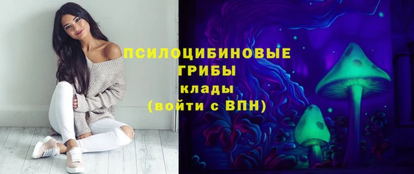 гашик Зеленокумск