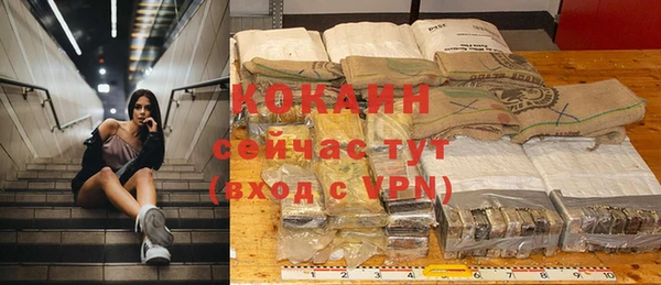 гашик Зеленокумск