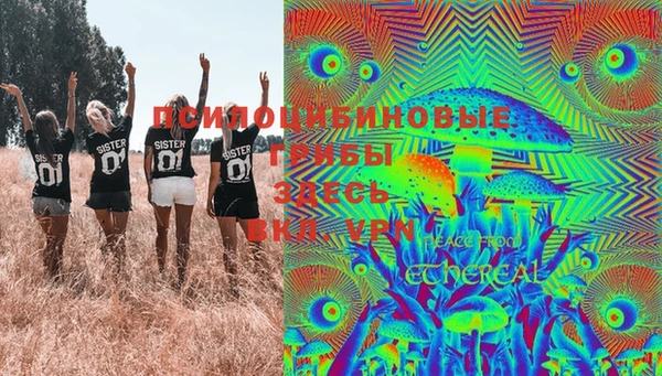 гашик Зеленокумск