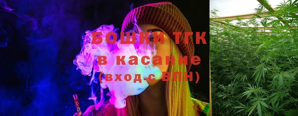 гашик Зеленокумск