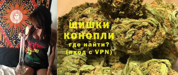 гашик Зеленокумск