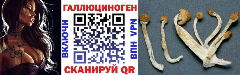 Галлюциногенные грибы мицелий  Купить закладки  Инза 